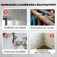 💐🎨🔧 PROMO LIMITÉE 50% ! Revêtement Polyuréthane Multifonction – Protection Durable pour Sol, Bois, Métal & Béton (Intérieur/Extérieur) ✨