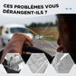 🔥💎 ACHETEZ 1 OBTENEZ 1 GRATUIT ! Kit Réparation Verre Fissuré – Résultat Invisible Professionnel 20 Minutes, Résine Spéciale Pénètre Fissures Bulles Éclats, Facile Sans Compétence · Jusqu'à 8 Pièces ✨