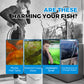 🐟   🪸Automatic Aquarium Filter System