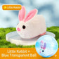 🐱 50% DE RÉDUCTION ! 🎾 Balle Interactive Auto-Roulante – Plastique & Peluche – LED & Mouvement Aléatoire for Chat