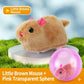 🐱 50% DE RÉDUCTION ! 🎾 Balle Interactive Auto-Roulante – Plastique & Peluche – LED & Mouvement Aléatoire for Chat