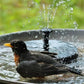 ☀️💥 PROMO -50% ! Fontaine Solaire Bain d'Oiseaux 1W – 6 Modes Pulvérisation 15-27 Pouces, Sans Batterie, Ventouses Stables · 13cm & 16cm 🔥 Achetez 2 = -10€