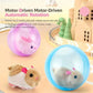 🐱 50% DE RÉDUCTION ! 🎾 Balle Interactive Auto-Roulante – Plastique & Peluche – LED & Mouvement Aléatoire for Chat