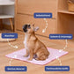 🐶🐱 PROMO -50% ! Tapis Rafraîchissant Été Animaux – Gel Non Toxique Frais Sans Froid, Respirant Absorbant, Antidérapant, Chien Lit Canapé Voiture · 3 Coloris · M à XXL (≤80kg) ✨
