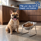 🐕 PROMO FLASH : 50% DE RÉDUCTION ! Bol Orthopédique Incliné à 15° pour Chien – Acier Inoxydable SUS304 & Anti-Régurgitation for une Alimentation Confortable et Saine 🥣✨