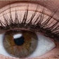 ✨ -50% ! 👀 Cils Auto-Adhésifs Réutilisables – Fibre Synthétique – Sans Colle & Application 3 Secondes – 3 Styles pour un Regard Naturel et Glamour 🎯