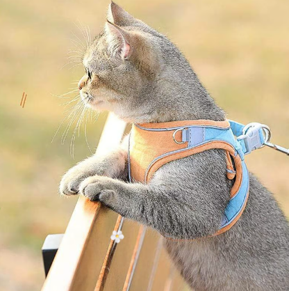 🐾🦺 PROMO FLASH 50% ! Harnais-Gilet Réfléchissant une Pièce pour Chiens & Chats – Respirant, Léger, Anti-Évasion, Sangle Réfléchissante, Taille XXXS-L ✨