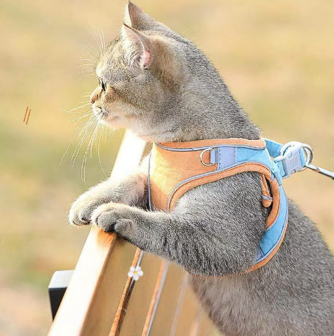 🐾🦺 PROMO FLASH 50% ! Harnais-Gilet Réfléchissant une Pièce pour Chiens & Chats – Respirant, Léger, Anti-Évasion, Sangle Réfléchissante, Taille XXXS-L ✨