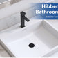 🚰 -50% ! 🔧 Filtre de Vidange 3-en-1 pour Lavabo – Acier Inoxydable Noir Mat – Bouchon Ressort Pop-Up & Panier à Cheveux Amovible – Universal 28-60 mm 🛁✨
