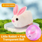 🐱 50% DE RÉDUCTION ! 🎾 Balle Interactive Auto-Roulante – Plastique & Peluche – LED & Mouvement Aléatoire for Chat