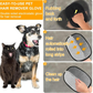 🧤 PROMO FLASH : 50% DE RÉDUCTION ! Gants Électrostatiques pour Poils d'Animaux – Silicone Double Surface, Lavables & Réutilisables for un Nettoyage Efficace à la Maison et en Voiture ✨🐾