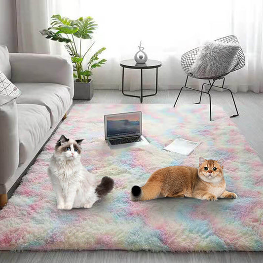 ☁️☁️Gradient Color Plush Floor Mat