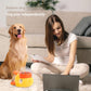 🐶🦆 PROMO FLASH 50% ! Jouet de Puzzle Interactif & Slow Feeder 2-en-1 pour Chien – Forme Canard, 3 Tailles de Sortie, ABS Durable, Idéal Petits & Moyens Chiens