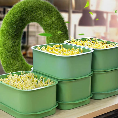 🌱 PROMO LIMITÉE -50% ! 🏡 Caisse Germination Empilable – Multicouche, Plateau Captage Humidité, PP Alimentaire Anti-Moisissure · Pousses Fraîches en 3-5 Jours 🔥 Achetez 3 = 4 Offerts