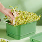 🌱 PROMO LIMITÉE -50% ! 🏡 Caisse Germination Empilable – Multicouche, Plateau Captage Humidité, PP Alimentaire Anti-Moisissure · Pousses Fraîches en 3-5 Jours 🔥 Achetez 3 = 4 Offerts