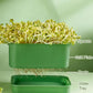 🌱 PROMO LIMITÉE -50% ! 🏡 Caisse Germination Empilable – Multicouche, Plateau Captage Humidité, PP Alimentaire Anti-Moisissure · Pousses Fraîches en 3-5 Jours 🔥 Achetez 3 = 4 Offerts