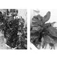🌱 -50% ! 💧 Minuterie d'Arrosage Automatique Réglable – Programmable, fiable & économe en eau – Parfaite pour plantes en jardin, balcon & serre 🌿