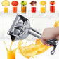 ⏳50 % OFF 🍊Stainless Steel Juicer