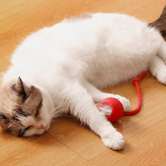 🔥🐾 PROMO FLASH 50% ! Boule Roulante Automatique Intelligente – Capteur Obstacles, Rechargeable, 5cm, 57g, 3 Couleurs, Idéale Chiens & Chats 🎾