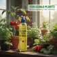 No Dilution Required Vegetable & Fruit Fertilizer