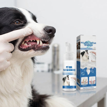 🐾🦷 2 ACHETÉS, 1 OFFERT ! Mousse Dentaire Détartrante pour Animaux – Formule Végétale (Menthe, Chèvrefeuille), Hygiène Buccale, Haleine Fraîche 12h, Soin Doux des Gencives ✨