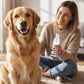 🐾🦷 2 ACHETÉS, 1 OFFERT ! Mousse Dentaire Détartrante pour Animaux – Formule Végétale (Menthe, Chèvrefeuille), Hygiène Buccale, Haleine Fraîche 12h, Soin Doux des Gencives ✨