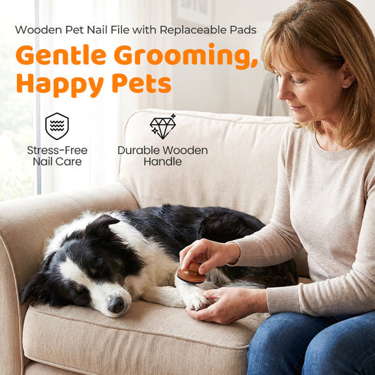 🐕 50% DE RÉDUCTION ! 🔥 Lime à Griffes en Bois pour Animaux – Patins Remplaçables & Douce pour les Pattes – Idéale pour Chiens, Chats ou Petits Animaux – Toilettage Silencieux et Précis ✨
