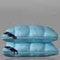 🛏️💤 PROMO -54% ! Oreiller Ergonomique Hôtel – Soutien Cervical Parfait, Fibre Respirante Évacuation Humidité, Lavable Machine, Structure 3D · 8 Coloris · 3 Hauteurs · 48×74cm ✨