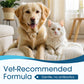 🐶 50% DE RÉDUCTION ! 🌿 Solution Nettoyante Auriculaire pour Chiens et Chats – Soulage les Démangeaisons, Nettoie en Douceur – Extraits de Plantes Naturelles & Formule Douce – Idéale pour les Oreilles Sensibles 🐱✨