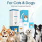 🐶 50% DE RÉDUCTION ! 🌿 Solution Nettoyante Auriculaire pour Chiens et Chats – Soulage les Démangeaisons, Nettoie en Douceur – Extraits de Plantes Naturelles & Formule Douce – Idéale pour les Oreilles Sensibles 🐱✨