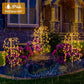 🌞🌙 PROMO FLASH 50% ! Guirlande Lumineuse Solaire de Jardin 100 LEDs – Étanche IP55, 8-10h d'Autonomie, Blanc/Multicolore, Installation Facile, Ambiance Chaleureuse 🌿