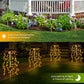 🌞🌙 PROMO FLASH 50% ! Guirlande Lumineuse Solaire de Jardin 100 LEDs – Étanche IP55, 8-10h d'Autonomie, Blanc/Multicolore, Installation Facile, Ambiance Chaleureuse 🌿