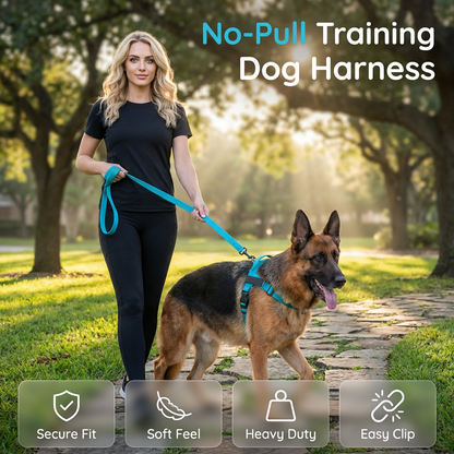 🐶 PROMO LIMITÉE 50% DE RÉDUCTION ! 🦮 Harnais Rembourré pour Chien – Anti-Traction, Respirant & Réglable 🌿
