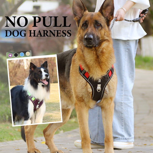 🐕 PROMO FLASH : 50% DE RÉDUCTION ! Harnais Anti-Traction pour Chien avec Collier LED – Rembourrage Épais & Anneau en D Avant for des Promenades Sereines et Sécurisées ✨