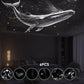 🌌🔥 -50% ! Projecteur Ciel Étoilé Veilleuse 2-en-1 – Galaxie Plafond Ambiance Magique Romantique Détente Sommeil, Films Interchangeables Scènes Célestes Variées, Lumière Chaude Douce USB Portable · 3 Versions ✨