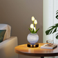 🌷 50% DE RÉDUCTION ! 💡 Veilleuse Bouquet de Tulipes – Verre & Métal – Lueur Douce & USB for Chambre & Nursery