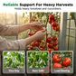🌸🌿 PROMO FLASH 50% ! Lot de 100 Attaches Douces Réutilisables pour Plantes – Fixation Rapide, Aéré, Résistant aux UV, Soutien pour Orchidées, Tomates & Rosiers 🦋