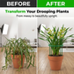 🌱 PROMO LIMITÉE 50% DE RÉDUCTION ! 🔗 Anneaux de Croissance Modulaires pour Plantes – Ajustables, Résistants & Réutilisables