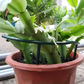🌱 PROMO LIMITÉE 50% DE RÉDUCTION ! 🔗 Anneaux de Croissance Modulaires pour Plantes – Ajustables, Résistants & Réutilisables