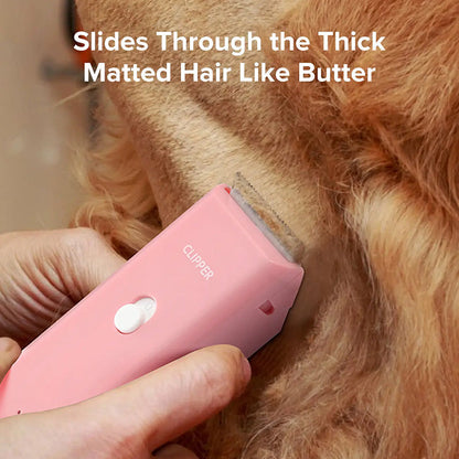 ✂️📢 55 % DE RÉDUCTION !🐶 Tondeuse sans fil et silencieuse pour animaux – Pour chiens, chats et petits animaux de compagnie, douce et à faibles vibrations ✨