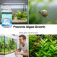 ✅🐠 PROMO FLASH 50% ! Comprimés Effervescents Purifiant pour Aquarium – 100 comprimés, Clarification Rapide, Élimine Algues & Odeurs, Pour Tous Types d'Aquariums ✨