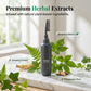 💆‍♀️🌿 PROMO LIMITÉE 50% ! Teinture Capillaire Végétale à Peigner – 3 Nuances, 100ml, Formule Douce, Couvre Cheveux Blancs, Kit Complet ✨