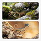 🦖 PROMO FLASH : 50% DE RÉDUCTION ! Coffret Dinosaures Éducatif pour Enfants – Figurines Ultra Réalistes, Caoutchouc Résistant & Boîte de Rangement T-Rex for une Aventure Jurassique à la Maison ✨🌋