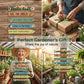 ⏳ OFFRE LIMITÉE – 50% DE RÉDUCTION ! ⏰ Plaque Décorative Murale en Bois Rustique pour Jardin – Illustrations Botaniques Vibrantes & Bois Naturel Durable – Suspension Facile – Idéale pour Terrasse, Porche et Clôture 🏡