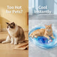 🐱✨ PROMO FLASH -50% ! Lit d'Eau Gonflable Rafraîchissant pour Chats – PVC Anti-Griffes, Bord Ergonomique, Jouets Flottants, 3 Tailles, Idéal Été 🔥