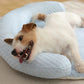 🐾 50% DE RÉDUCTION ! ❄️ Tapis de Refroidissement pour Animaux – Doux, Respirant & Amovible – Lavable, Antidérapant – Idéal pour Chiens et Chats à la Maison ou en Voyage 🌞🐶✨