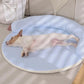 🐾 50% DE RÉDUCTION ! ❄️ Tapis de Refroidissement pour Animaux – Doux, Respirant & Amovible – Lavable, Antidérapant – Idéal pour Chiens et Chats à la Maison ou en Voyage 🌞🐶✨
