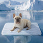❄️ 50% DE RÉDUCTION ! 🐾 Tapis Rafraîchissant en Soie Glacée pour Animaux – Respirant, Lavable & Léger – Idéal pour Chiens et Chats – Utilisation Intérieure et Extérieure – Parfait pour Cages, Canapés et Voitures ☀️🐶✨