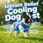🐶🌊 PROMO FLASH -50% ! Gilet Rafraîchissant pour Chien – Maille Respirante 3D, Soulagement Instantané de la Chaleur, Bleu, Tailles M/L/XL, Idéal Animaux Actifs ✨