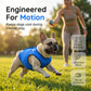 🐶🌊 PROMO FLASH -50% ! Gilet Rafraîchissant pour Chien – Maille Respirante 3D, Soulagement Instantané de la Chaleur, Bleu, Tailles M/L/XL, Idéal Animaux Actifs ✨